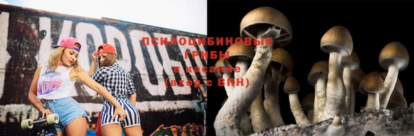 PSILOCYBIN Арсеньев