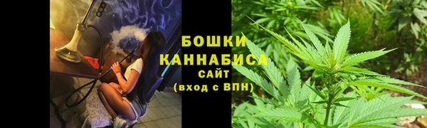 PSILOCYBIN Арсеньев